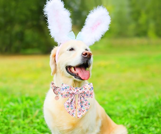 DOGWONG Easter Day Dog Collar-Cute Rabbit Easter Dog Collar with Bow, Cotton Eggs Dog Collars with Metal Buckle for Small Medium Large Dogs