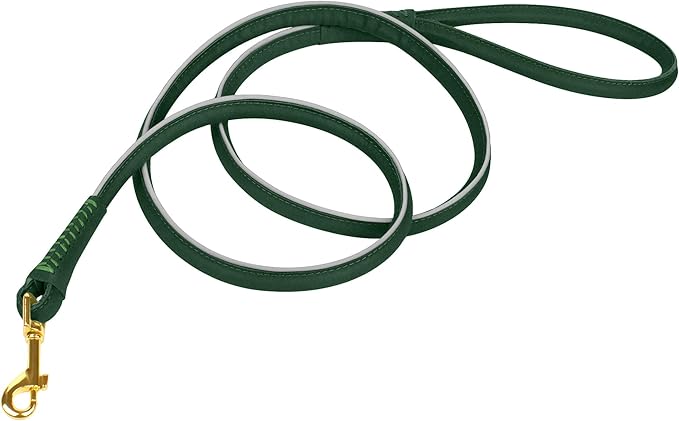 OOPSDOGGY Reflective Rolled Leather Dog Leash 6ft - Soft Training Lead for Small Medium Large Dogs Puppy - Heavy Duty Rope Puppies Leashes for Outdoor Walking Running (Green, Medium/Large)