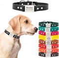 dogIDs Personalized Dog Collar – ScruffTag Custom Waterproof Biothane Dog Collar with Laser-Engraved Name, Durable & Odor-Resistant – USA Made | Black, 1 in x 16 in (Fits Neck Sizes 14-18 in)