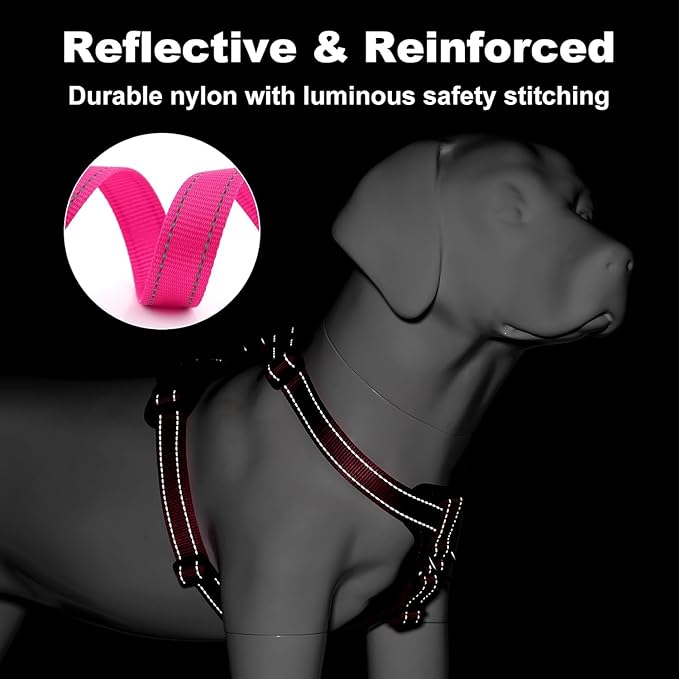 Dog Harness and Leash Combo Set, Magnetic Connection, Ergonomic Design (Flamingo Pink, Small)