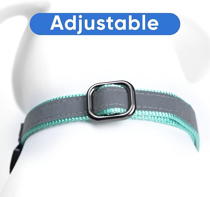 Pawtitas Personalized Dog Collar Martingale Dog Collar with Name Phone Number Reflective Martingale Dog Collar Customized Collar for Large Dogs | Teal Custom Dog Collars for Large Dogs