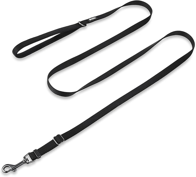 Hyhug Nylon Adjustable 4-6ft Dog Leash with Soft Neoprene Padded Handle, Durable Heavy Duty Leash with Easy-to-Use Bolt Snap, Ideal for Jogging Outdoor