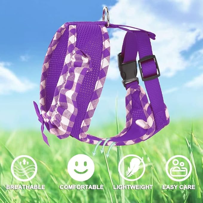 SuperBuddy Upgraded Soft Mesh Dog Harness, Super Breathable Lightweight Pet Harnesses for Puppy Dogs Outdoor Walking, Purple Dog Harness and Dog Leash Set Packing -XSmall