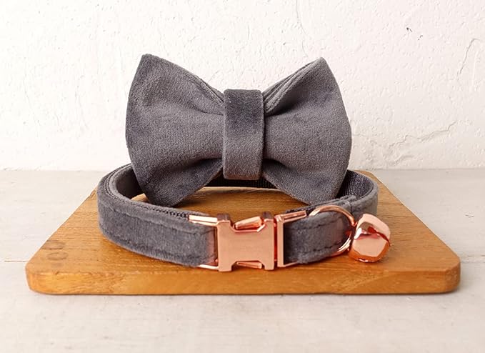 Cat Collar Personalized with Name Engraved and Bell, Customized Velvet Collars for Puppy Kittens (Grey, S)