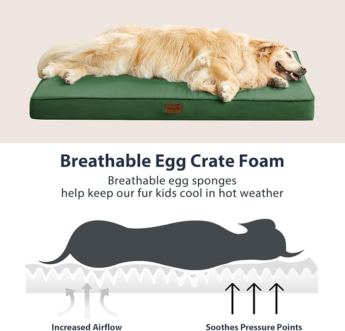 BFPETHOME Outdoor Dog Bed for Large Dogs, Waterproof, Orthopedic with Removable Washable Cover, Egg Crate Foam Mat (42 x 30in, Green)