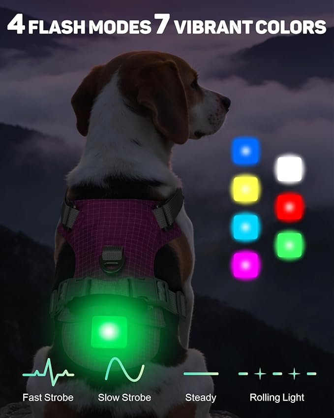 TagME No Pull Dog Harness with 2 Leash Clips,Lightweight & Visible for All-Day Walking,No Choke Pet Vest Includes AirTag Holder for Medium Dogs,Fuchsia Pink