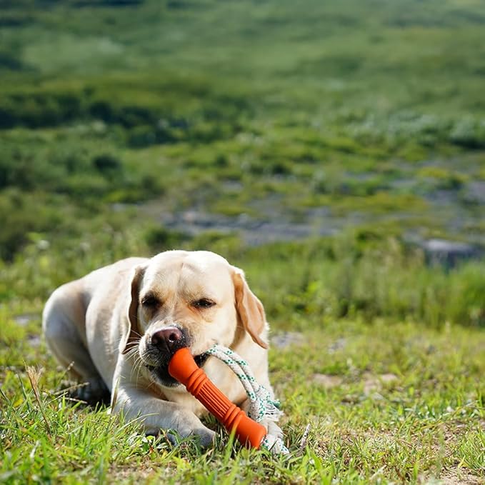 Green Sheep Natural Rubber Rope Dog Toy, Puppy Chew Toys for Teething, Tug of War Dog Rope with Recycle Cotton, Small to Large Dogs, Orange