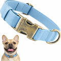 Dog Collars for Small Dogs Silicone Leather Dog Collars Soft Flexible Waterproof Odor-Proof Durable Thick Classic Adjustable Pet Puppy Collar (Blue, Small (9-14" Neck))