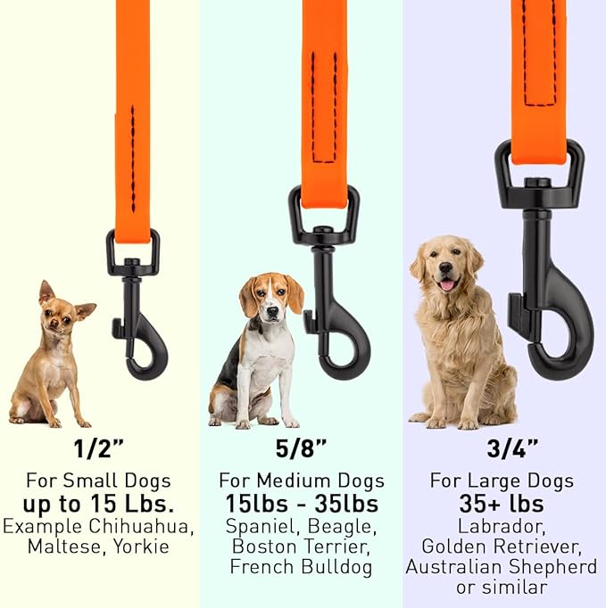 Dogline Biothane Waterproof Dog Leash 2/4/6 Ft Strong Coated Nylon Webbing with Black Hardware Odor-Proof Easy to Clean High Performance for Small or Large Dogs Made in USA, Hunter Orange