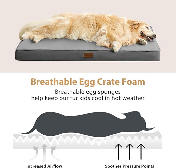 BFPETHOME Outdoor Dog Bed
