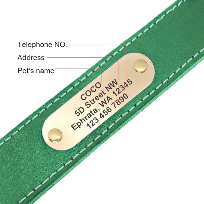 Didog Genuine Leather Dog Collars with Engraved Nameplate, Personalized Soft Leather Dog Collar with Custom ID Tag, Brown/Green/Red for Medium Large Dogs (L,Green)
