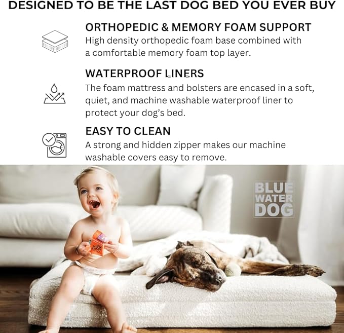 Luxury Boucle Orthopedic Memory Foam Dog Bed with Waterproof Liner and Machine Washable Cover with YKK Zippers (Small, 29" L x 23" W x 6" Th, Cloud)