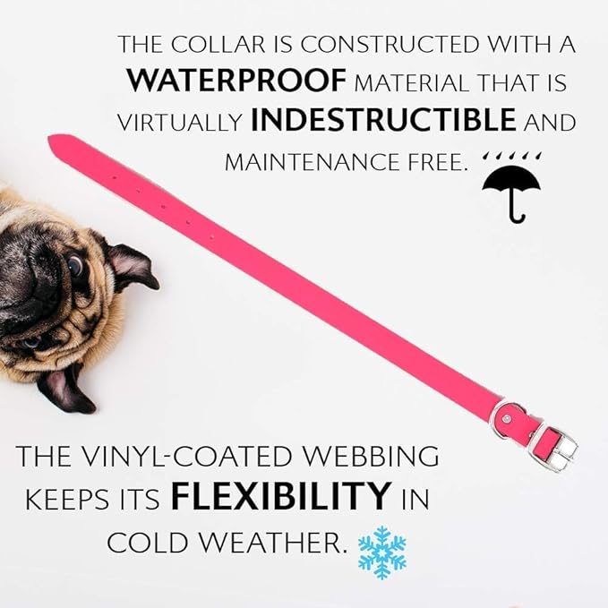 Regal Dog Products Medium Pink Waterproof Dog Collars with Custom Engraved Name Plate | Vinyl Coated, Anti, Easy to Clean Personalized Biothane Dog Collar - Other Sizes for Small & Large Dogs