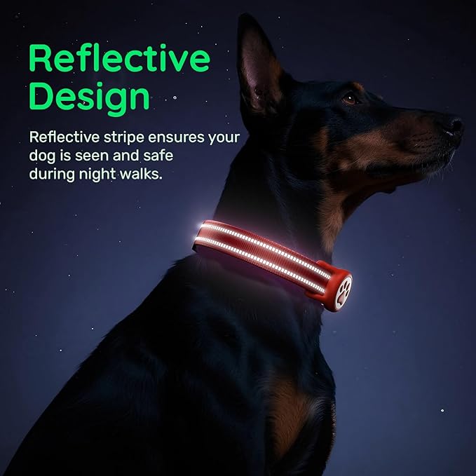 Airtag Dog Collar, Reflective Ultra-Durable Nylon Padded with QR Code Buckle & IP68 Waterproof Air Tag Holder Compatible for Apple AirTag, Comfortable for Small Medium Large Dogs(Red,M)