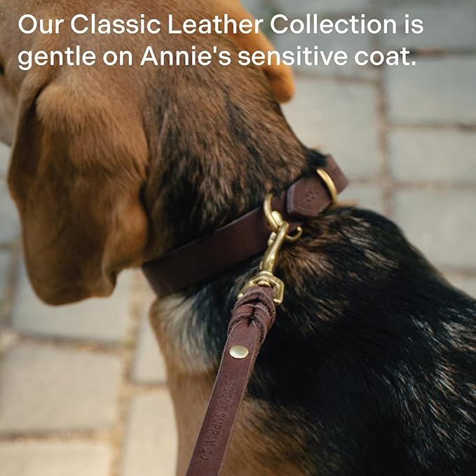 Scout Supply Classic Leather Dog Leash | Strong Heavy Duty Thick Full Grain Leather | Waterproof & Rust-Proof Brass Hardware (Dark Brown, L: 4.5 ft x 2/3 in)