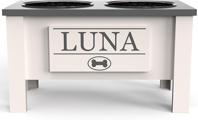 GTW Personalized Elevated Dog Bowl Stand for Large, Medium, Small, X-Small Dogs - Stainless Steel Food and Water Bowls - Raised Dog Dish with Internal Storage (Large, Grey)