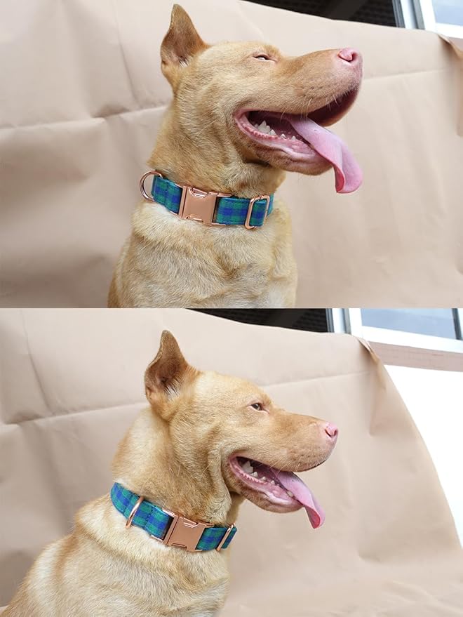 PETDURO Personalized Checkered Plaid Dog Collar Green Blue - Engraved Name and Phone Number on Gold Metal Buckle - Custom for Small Medium Large Boy Girl Dogs - Add Leash Bow Tie via Customize Now