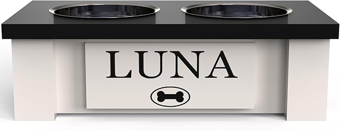 GTW Personalized Elevated Dog Bowl Stand for Large, Medium, Small, X-Small Dogs - Stainless Steel Food and Water Bowls - Raised Dog Dish with Internal Storage (X-Small, Black)