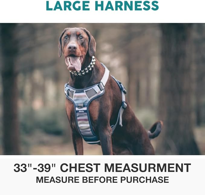 Embark Adventure Dog Harness, Reflective Trim No Pull Dog Harness for Large Dogs - Military Grade Nylon, Front Clip Dog Harness with Gel Lined Handle. Soft & Padded Puppy Dog Harnesses for Any Breed