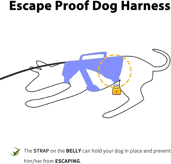 Huntboo Escape Proof Dog Harness, Escape Artist Harness, Reflective Dog Harness with Handle, Durable,Adjustable Vest for Small Medium Large Dogs Walking, Training,and Running Gear(Technicolor Blue,XL)