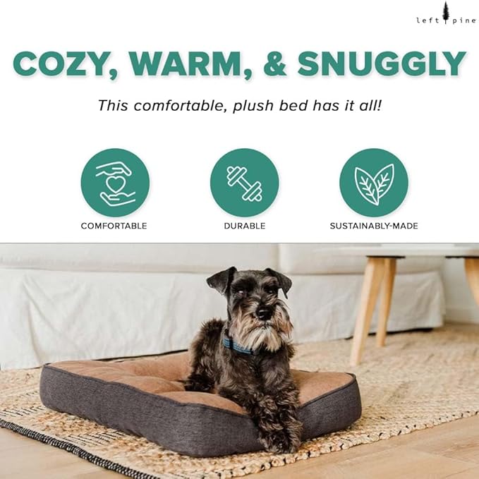 Rounded Corner Essentials Mat, Soft Velvet Pet Bed - Deluxe Sleeping Mat for Small & Medium Dogs - Sturdy Fabric, Recycled Fiber Filling, Machine Washable, Fits in Crate (Medium)