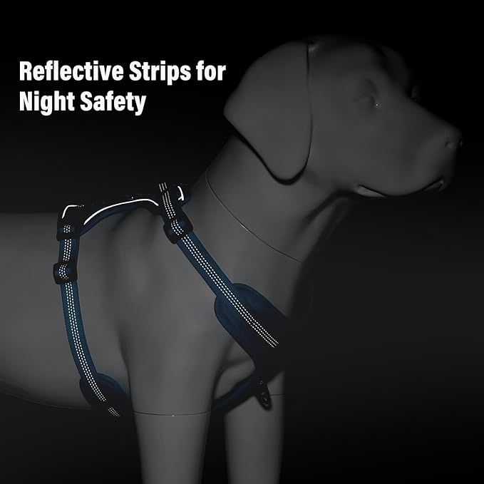 Plutus Pet No Pull Dog Harness, Release at Neck, Soft Padded, Reflective Adjustable Dog Vest Harness for Small, Medium, Large Dogs(Light Blue, S)