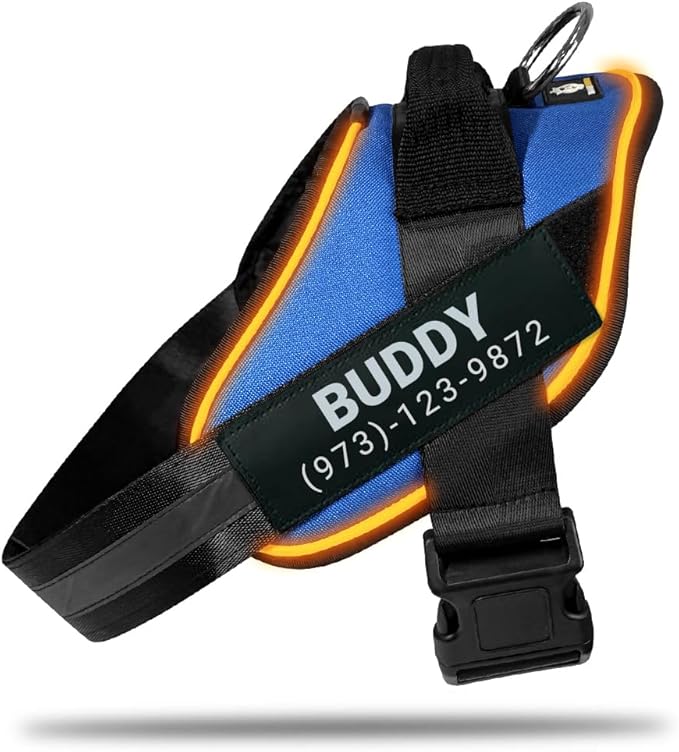 Personalized No Pull 360° LED Dog Harness with Custom Name Patches, USB Rechargeable, Adjustable, Reflective for Night Walks, Rainproof Module with 3 Modes Lasts up to 24h, Blue, 2XL