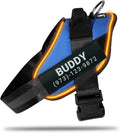 Personalized No Pull 360° LED Dog Harness with Custom Name Patches, USB Rechargeable, Adjustable, Reflective for Night Walks, Rainproof Module with 3 Modes Lasts up to 24h, Blue, XS