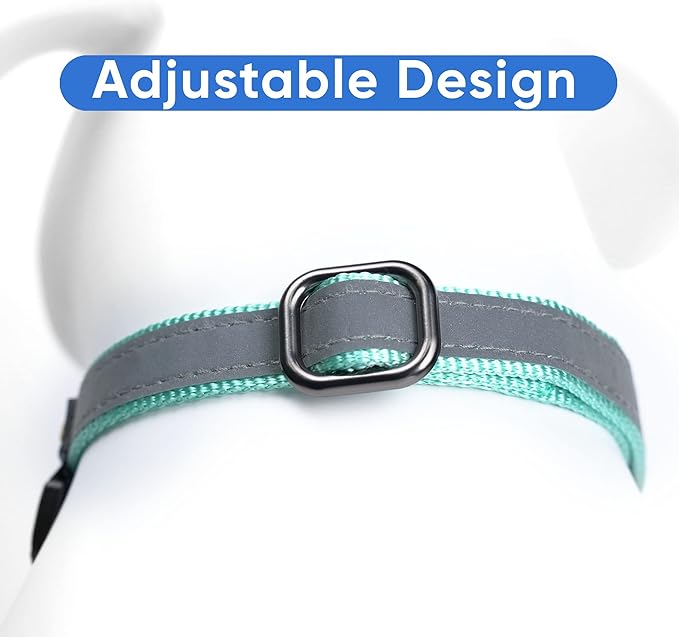 Pawtitas Customized Martingale Dog Collar Reflective Reflective Dog Collar Embroidered Personalized Name Phone Number Adjustable for Puppies Small Medium Large Size Dogs Large Teal