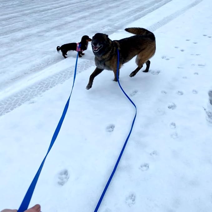 ZALER Long Dog Leash Waterproof Training Leashes 50ft 30ft 20ft 15ft 10ft 6ft, Odor Proof Recall Long Line Lead with Aviation Aluminum Carabiner Clip for Small, Medium, Large Dogs (15FT, Purple)