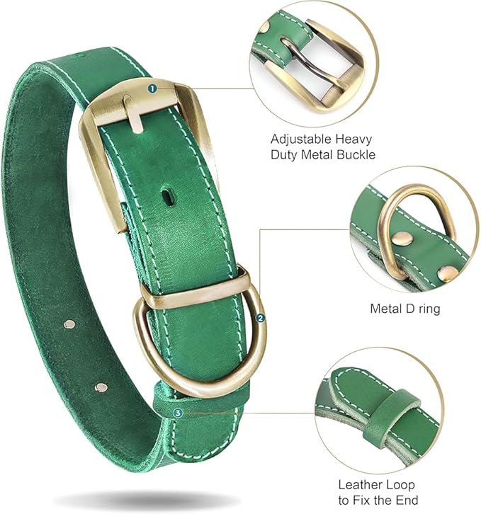Didog Genuine Leather Dog Collars with Engraved Nameplate, Personalized Soft Leather Dog Collar with Custom ID Tag, Brown/Green/Red for Small Dogs (M,Green)