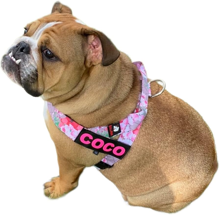 BULLHUG Adjustable Dog Harness– No Pull, No Choke – for English Bulldogs, French Bulldogs, Pugs & Broad-Chested Breeds – Easy, Safe Walks (Pink Floral, Medium)