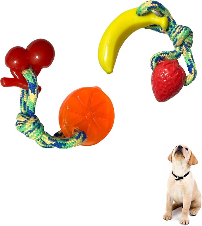 Friends Forever Dog Rope Toy, Tough Dog Chew Toys, Plastic Rubber Durable Puppy Teething Toy, Orange/Banana 2 Piece