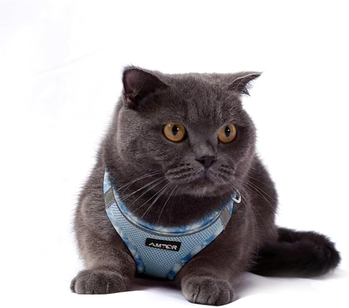 AMTOR Small Dog Harness with Leash Set, No Escape Easy Walk Puppy Harnesses for Training Walking, Step-in Reflective Soft Dogs Vest for XS S Medium Extra-Small Large Sized Dog(S Size,Blue/White)