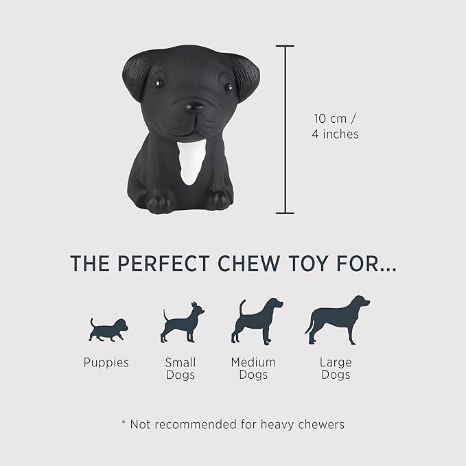 Hevea French Bulldog Breed Collection Dog Chew Toy - Natural Rubber Teething Toy for Puppies, Small, Medium and Large Dogs - Sore Gum Relief & Keeps Dogs Busy