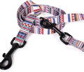 Pendleton Classics Adventure Leash - Tamiami, 1" w