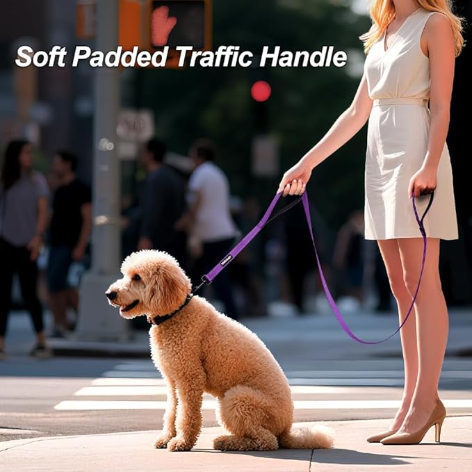 Heavy Duty Double Handle Dog Leash 6 ft Long for Total Control, Padded 2 Handle, Reflective Training Lead for Medium Large Dogs (Purple, 6 FT)