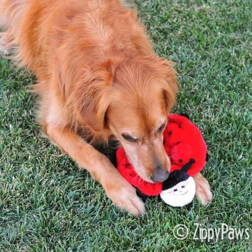 ZippyPaws Squeakie Crawler- No Stuffing Dog Toy to Keep Them Busy, for Small, Medium, & Large Dogs, Squeaky Pet Toy for Boredom, Unstuffed Chew Toy, Soft Plush Puppy Products, Betsey The Ladybug- 10"