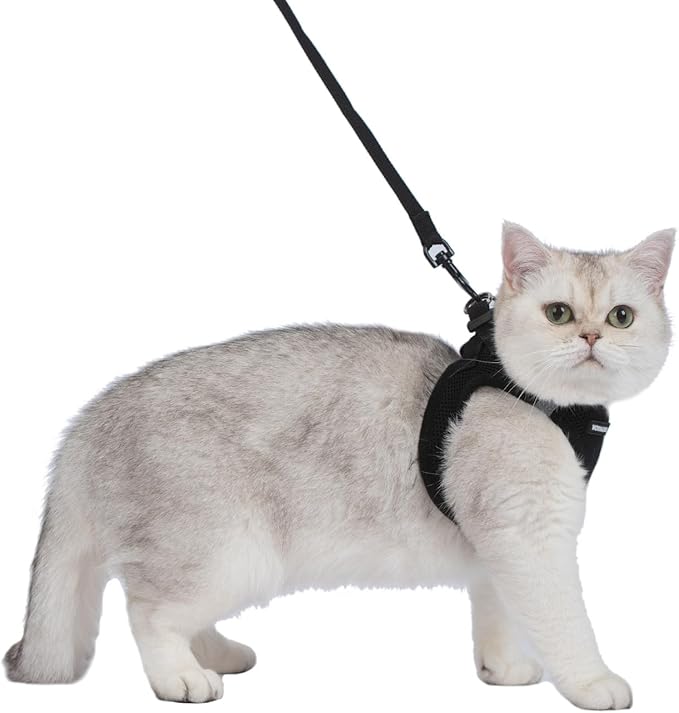 Voyager Step-in Pet Harness - All Weather Mesh, Adjustable Step in Harness for Cats and Dogs by Best Pet Supplies - 307S Black, XXXS
