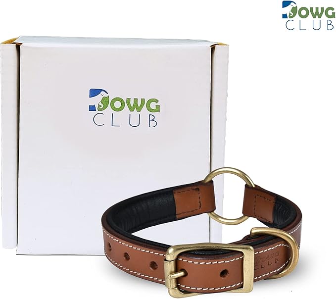 | Genuine Leather Adventure Dog Collar | Full Grain, Heavy Duty | With inner Cushioned padding | Best for Medium, Large & XL Dog (Medium (Fit Neck Size 14.5"-18.5"), Brown With Center O Ring)