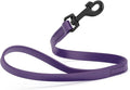Dogline Biothane Waterproof Dog Leash Strong Coated Nylon Webbing with Black Hardware Odor-Proof Easy to Clean High Performance for Small or Large Dogs Made in USA 2 ft Lead, Violet Purple