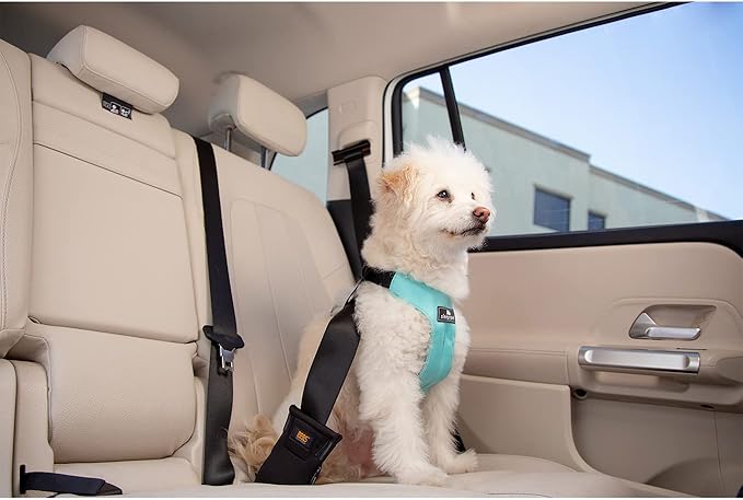 Clickit Sport Plus - Crash-Tested and Safety Certified Car Seat Belt Harness for Dogs (Small, Olive Green)