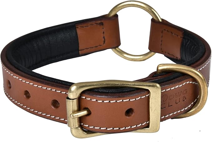 | Genuine Leather Adventure Dog Collar | Full Grain, Heavy Duty | With inner Cushioned padding | Best for Medium, Large & XL Dog (Medium (Fit Neck Size 14.5"-18.5"), Brown With Center O Ring)