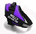 PawPawify Custom No Pull Dog Harness with Name and Phone Number, Heavy Duty Personalized Pet Vest to Prevent Tugging, Pulling, or Choking, Training and Walking (Purple, M (20-40 LBS))