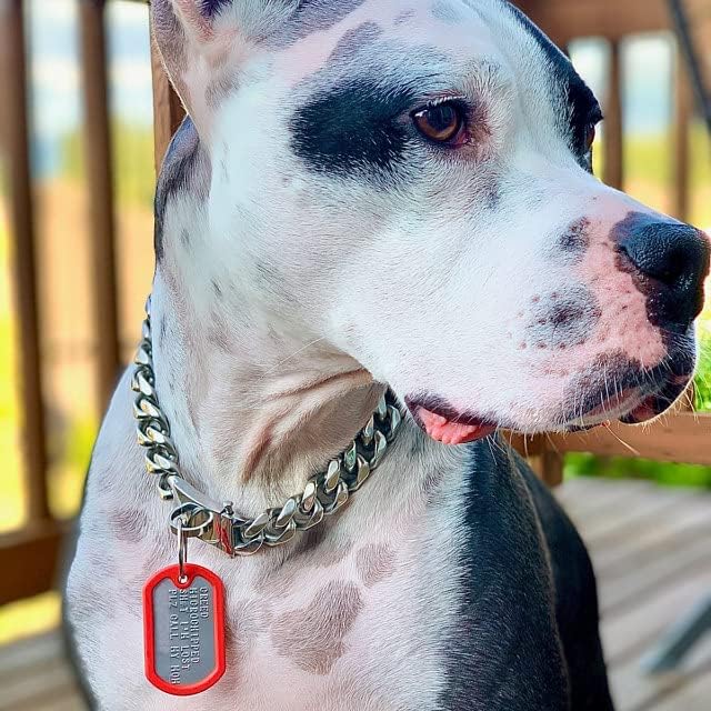 Dog Tags for Dogs, Custom Dog Collar ID Tag Personalized for Pets - Super Tough, Quiet Embossed Military Style Stainless Steel Dog Name tag (Red)