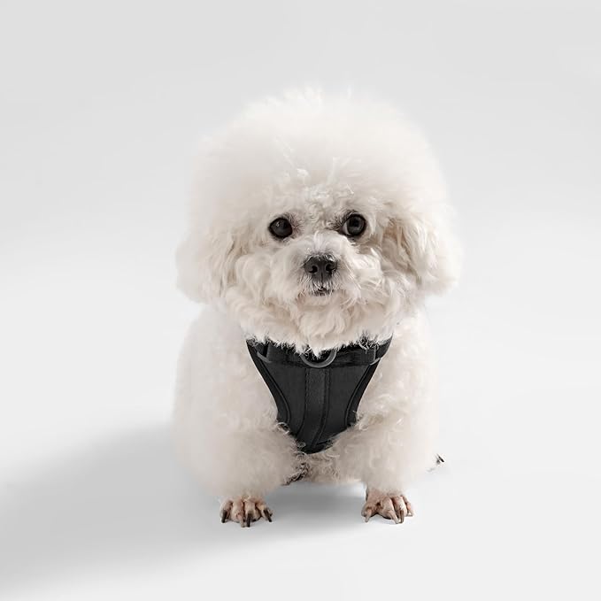 HNS1001I Arlo Small Adjustable Soft Padded No Pull Pet Harness with 3 Buckles and 3 Leash Clips, Bitters