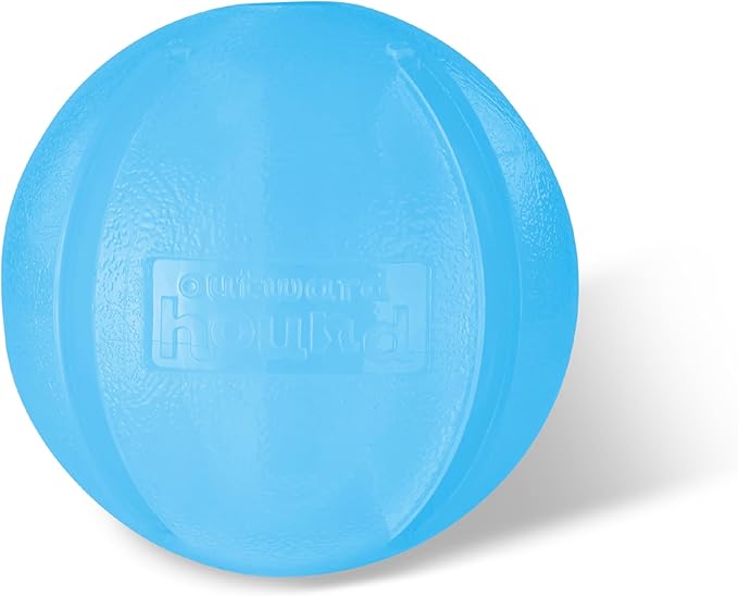 Outward Hound Guru Treat-Dispensing Puzzle Ball Dog Toy, Blue