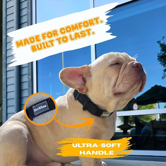 Waterproof Dog Collar, Soft Comfortable Pet Collars, Adjustable Odor Proof Heavy Duty Dog Collars Easy to Clean for Large, Medium Small Dogs by Bee N Buu (Black, Small (length8-12, Width 3/4"))