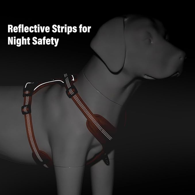 Plutus Pet No Pull Dog Harness, Release at Neck, Soft Padded, Reflective Adjustable Dog Vest Harness for Small, Medium, Large Dogs(Orange, M)
