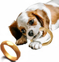 Puppy Teething Rings, Bracelet Food Grade Silicone Chew Toys for Small Dogs and Medium Dog, Puppy Nipping Solution Toys, Chew Toys for Puppies 0-6 Months - Gold Rush